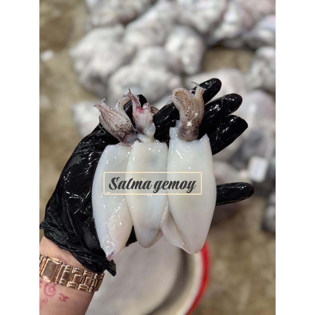 baby cumi kupas cumi segar super premium
