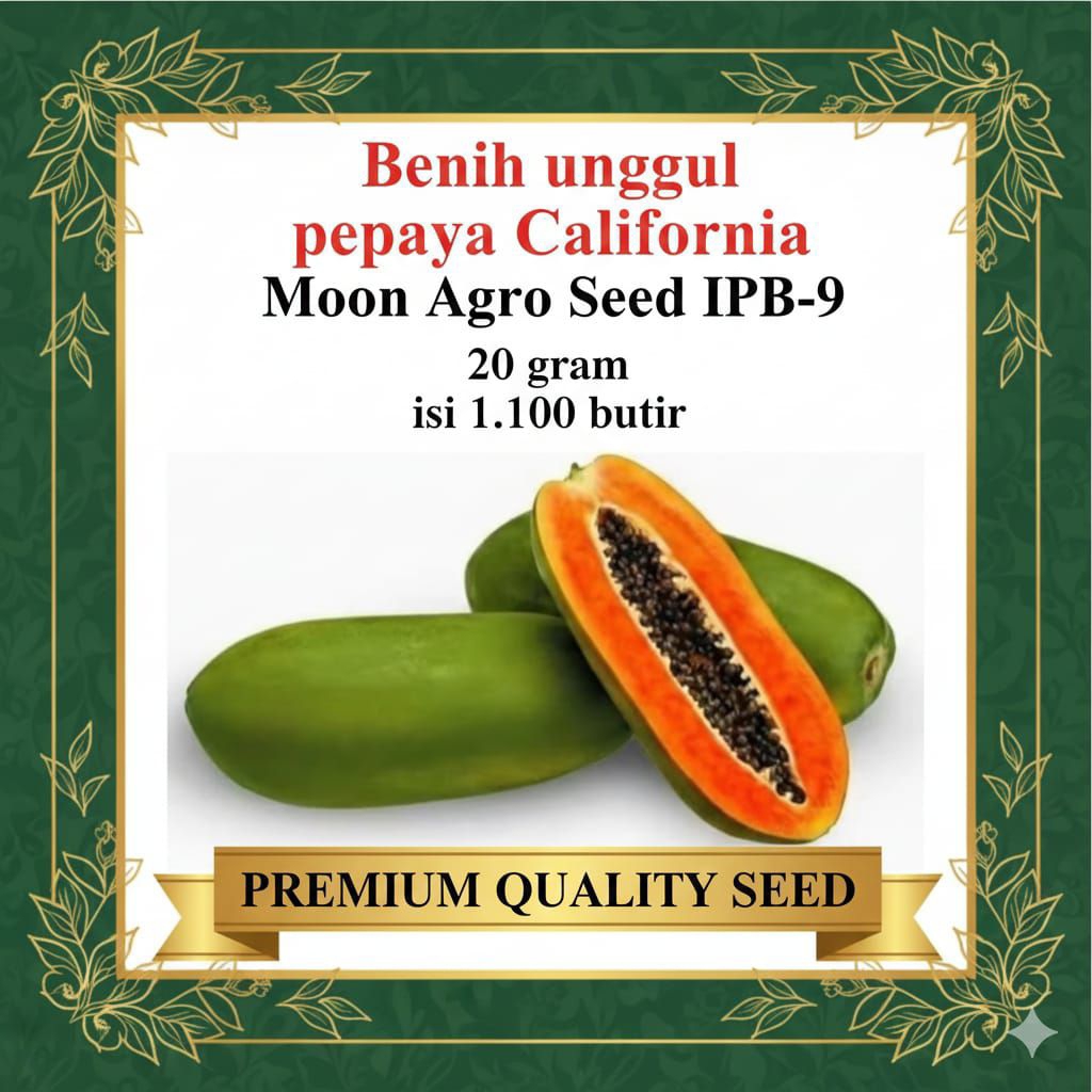 benih pepaya California IPB-9 ( 20 gram)