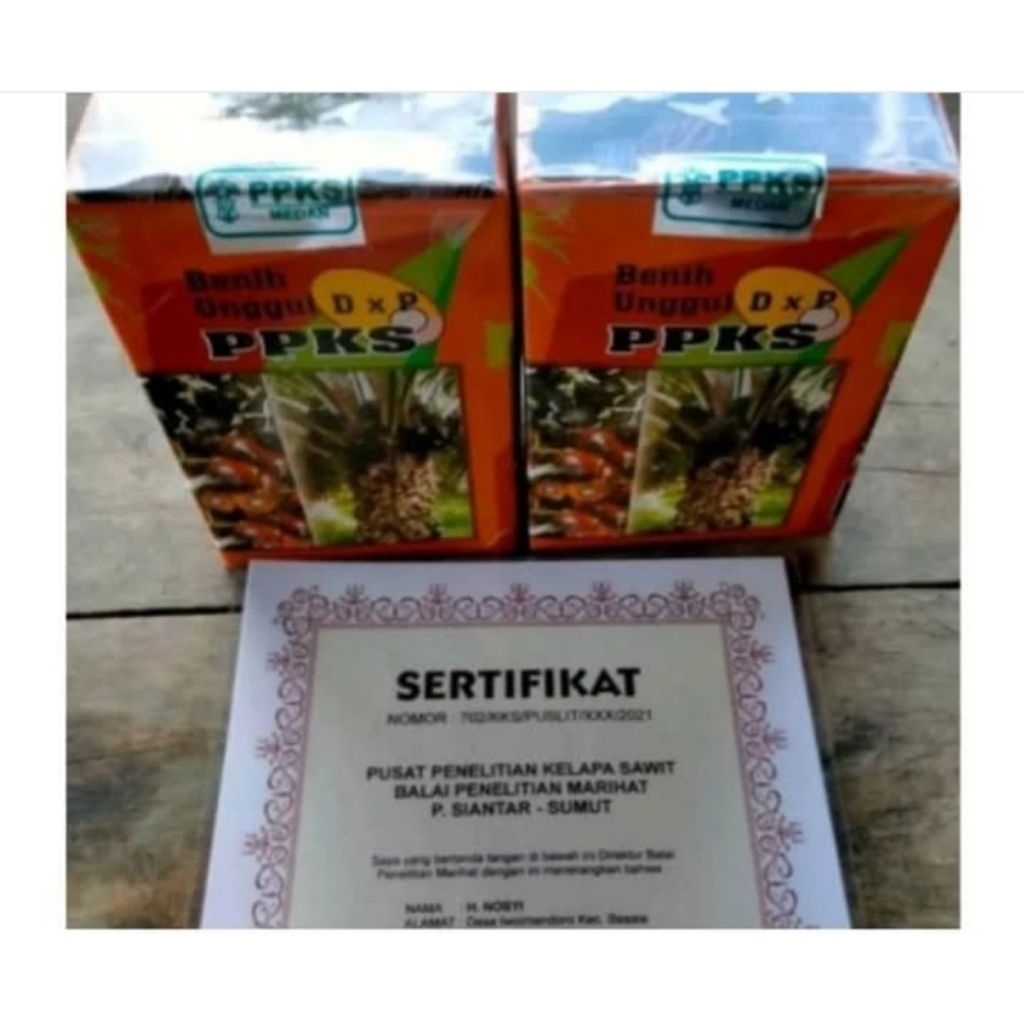 benih kecambah sawit dxp ppks 540 isi 250 butir
