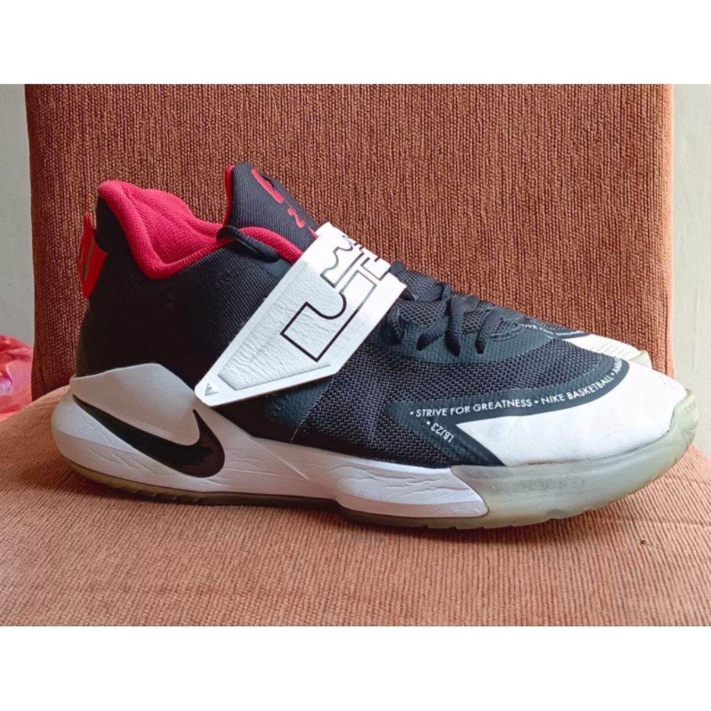 lebron ambassador XII size 44