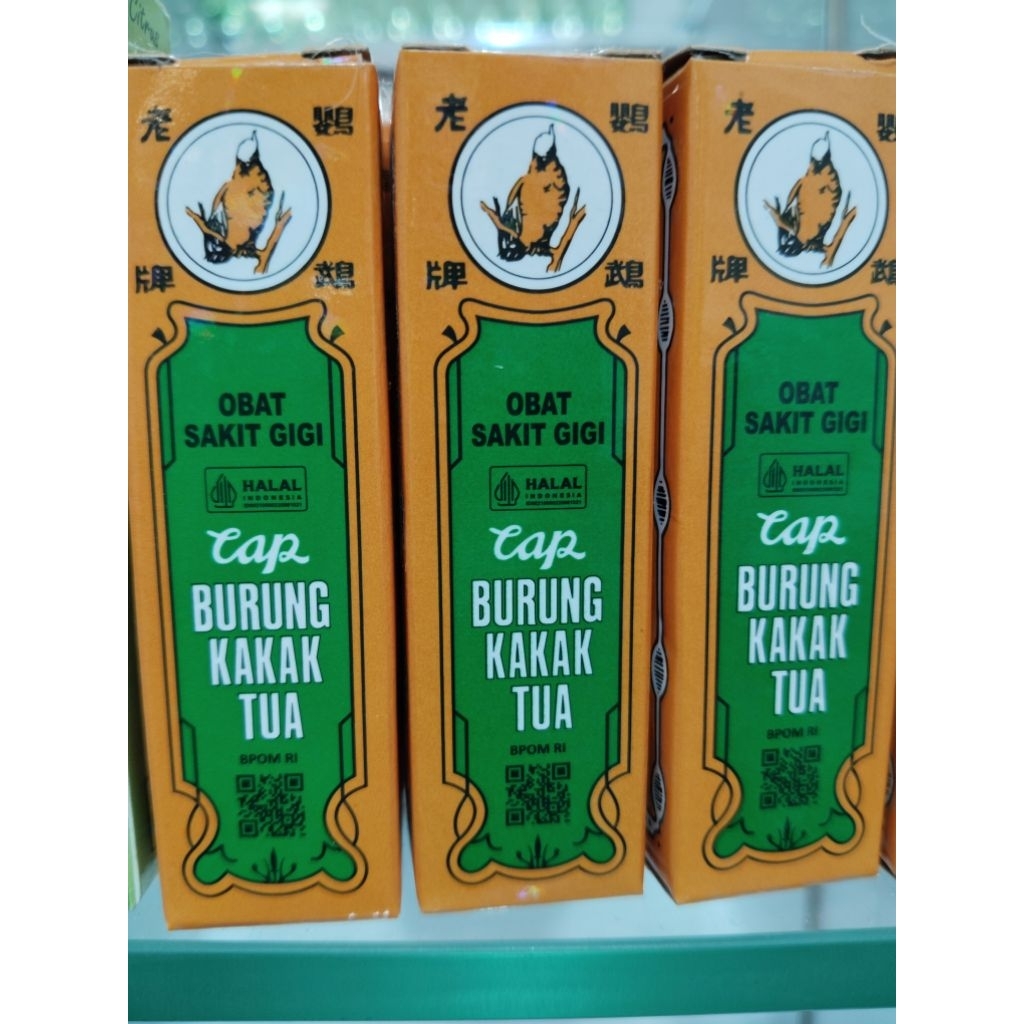 Burung Kaka Tua/ obat sakit gigi