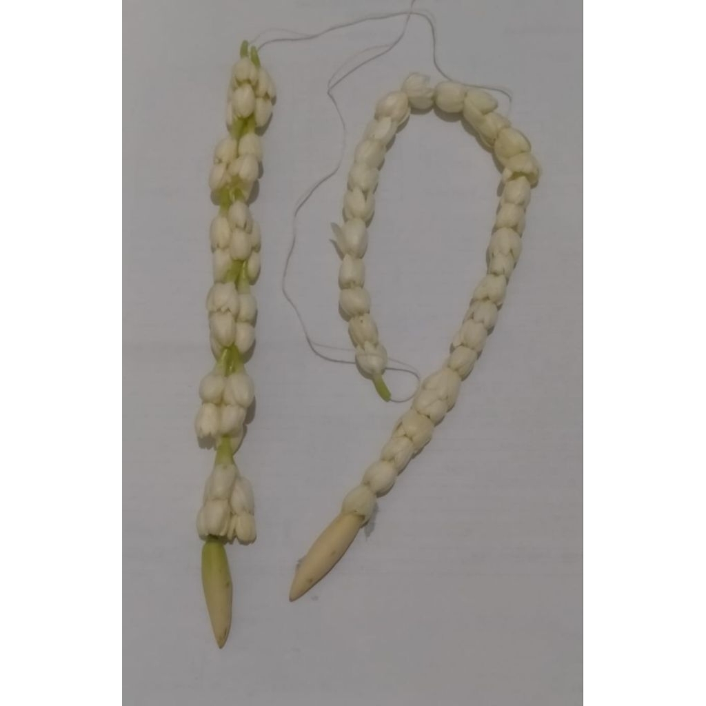 Roncean Melati Polos - Bunga Asli Melati Segar