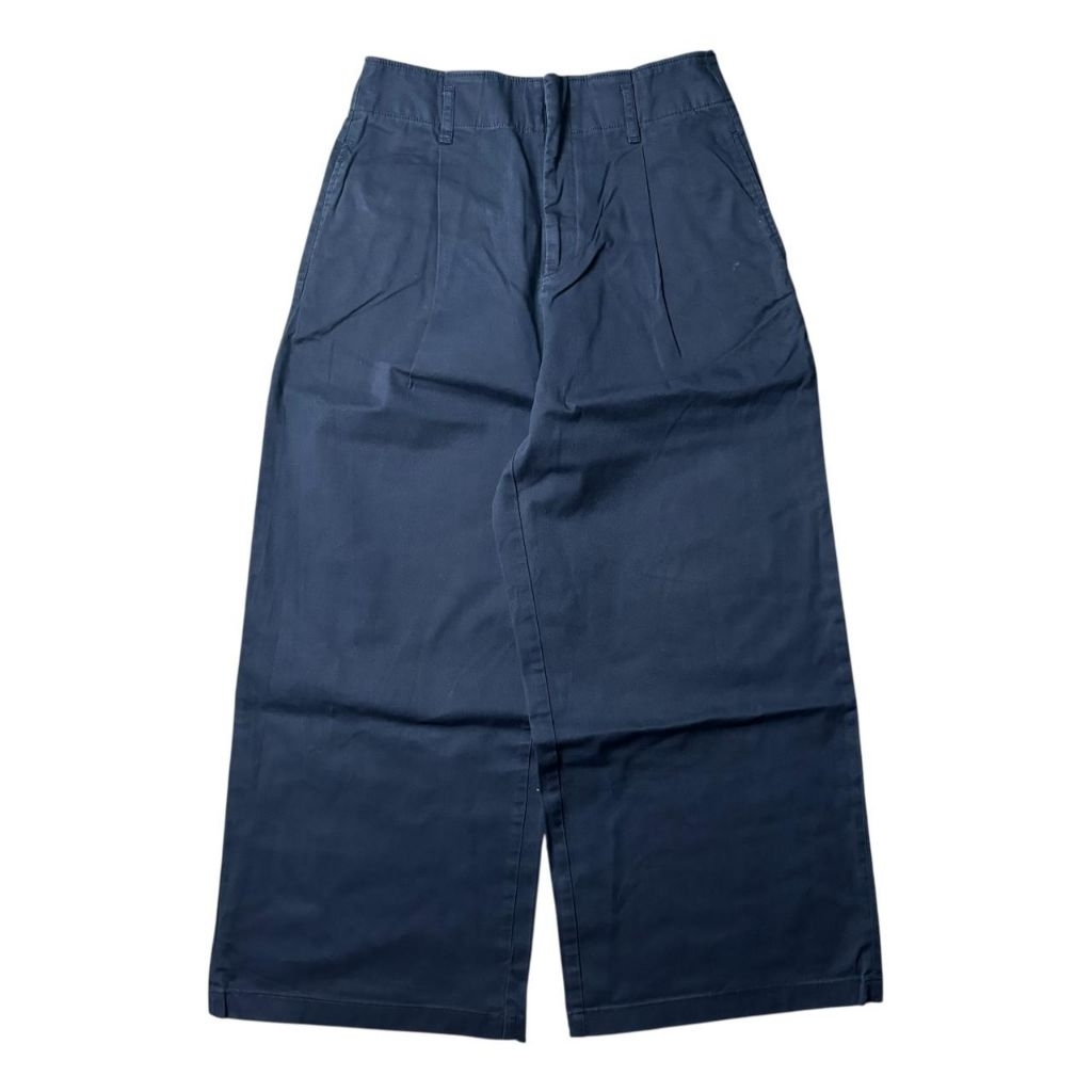 Uniqlo Pleated Wide Leg Pants