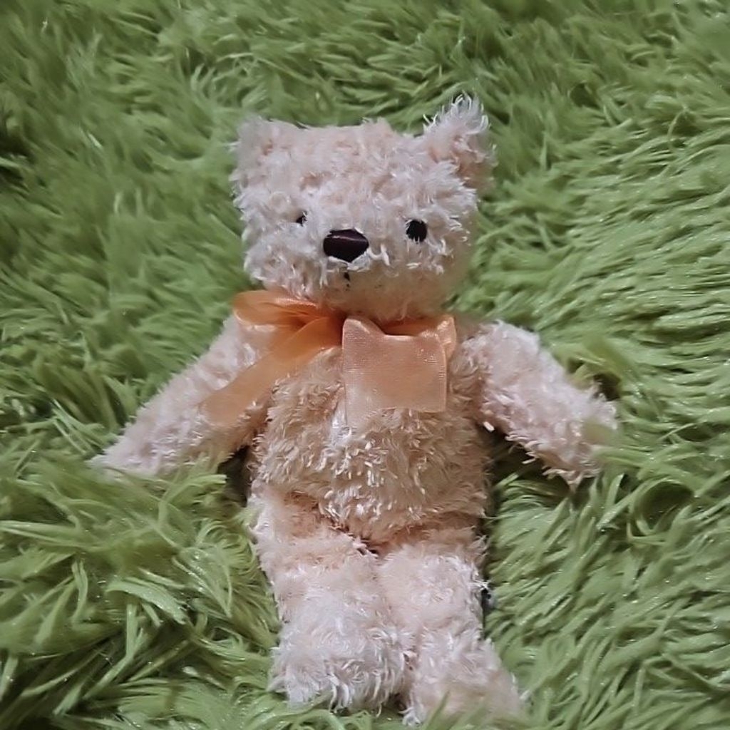 Boneka Teddy Rich