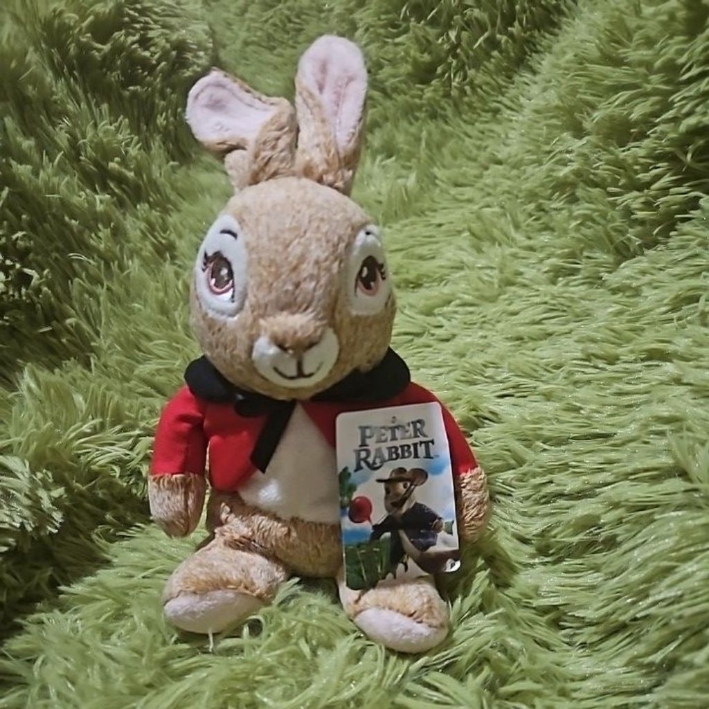 Boneka Peter Rabit