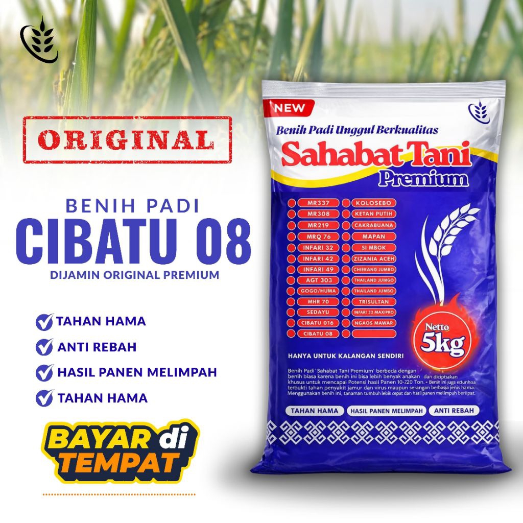 Benih padi unggul premium CIBATU 08 original kemasan 5KG-1KG
