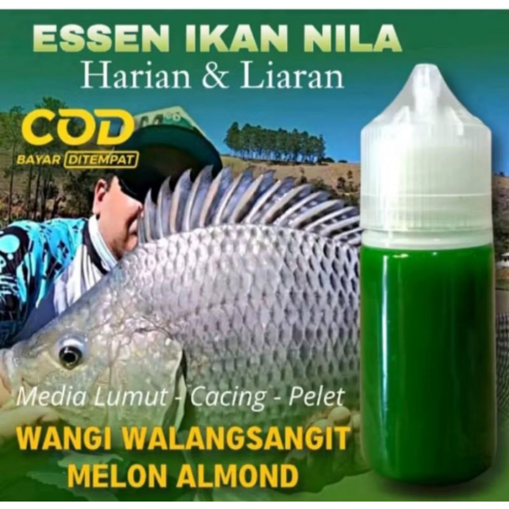 Essen Khusus Ikan Nila Liaran Dan Kolam Paling Manjur Essen Khusus Ikan Nila Media Lumut Cacing Band