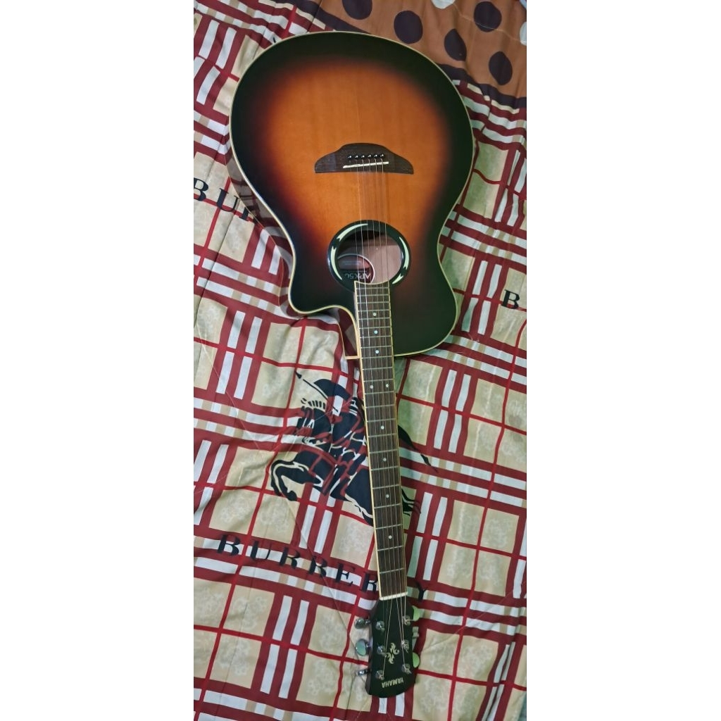 Gitar Akustik APX 500ii Original