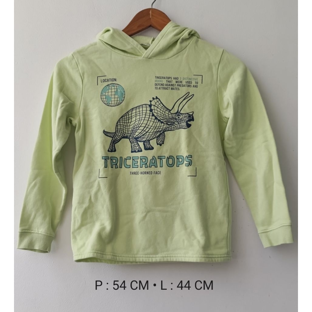 hoody anak sweater toddler hnm usia 8 sd 10 thn preloved jacket jaket hoodie dinosaur dinosaurus boy