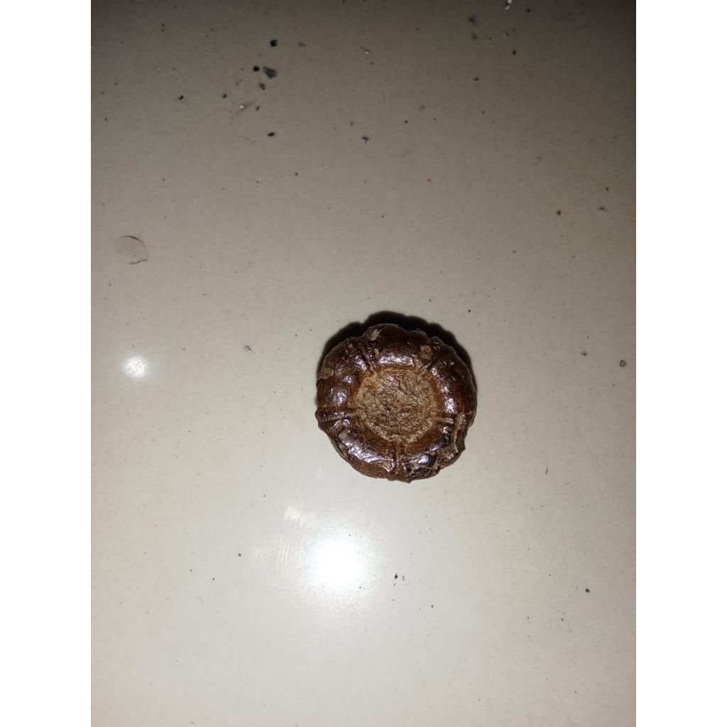 batu kembang jati asli alam