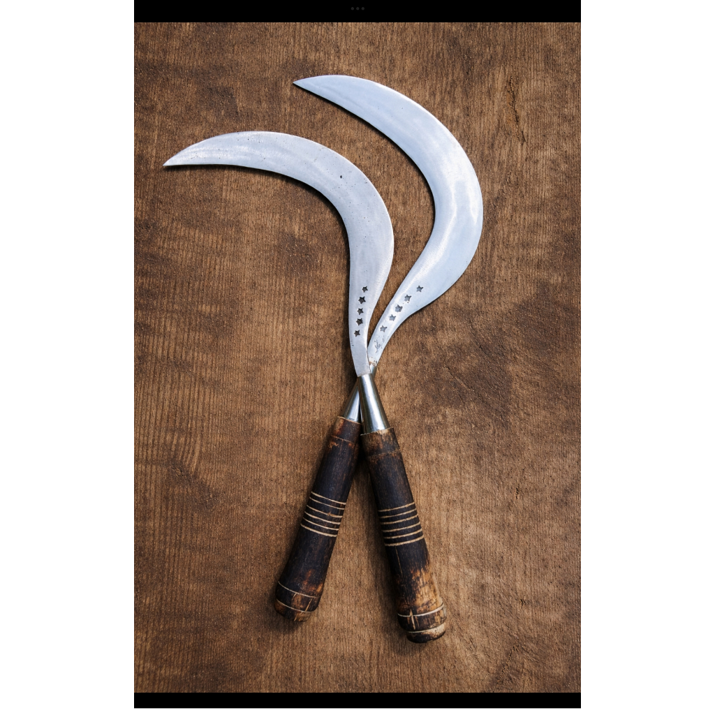 arit padi, arit rumput, arit ramban cap bintang lima, madura asli