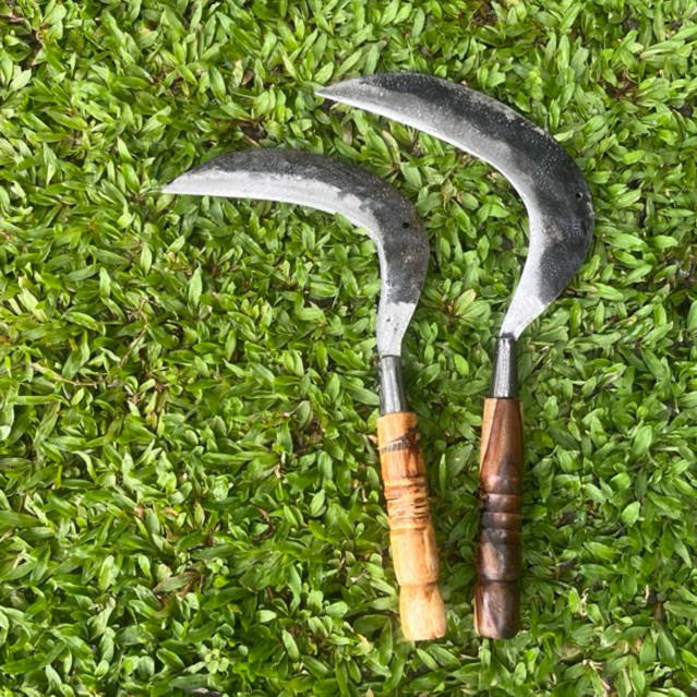 Arit sabit berang Pemotong Rumput Serbaguna