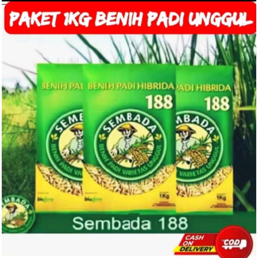 BIBIT PADI UNGGUL HIBRIDA SEMBADA 188 Kwalitas terbaik 100% ORIGINAL KEMASAN 1 KG