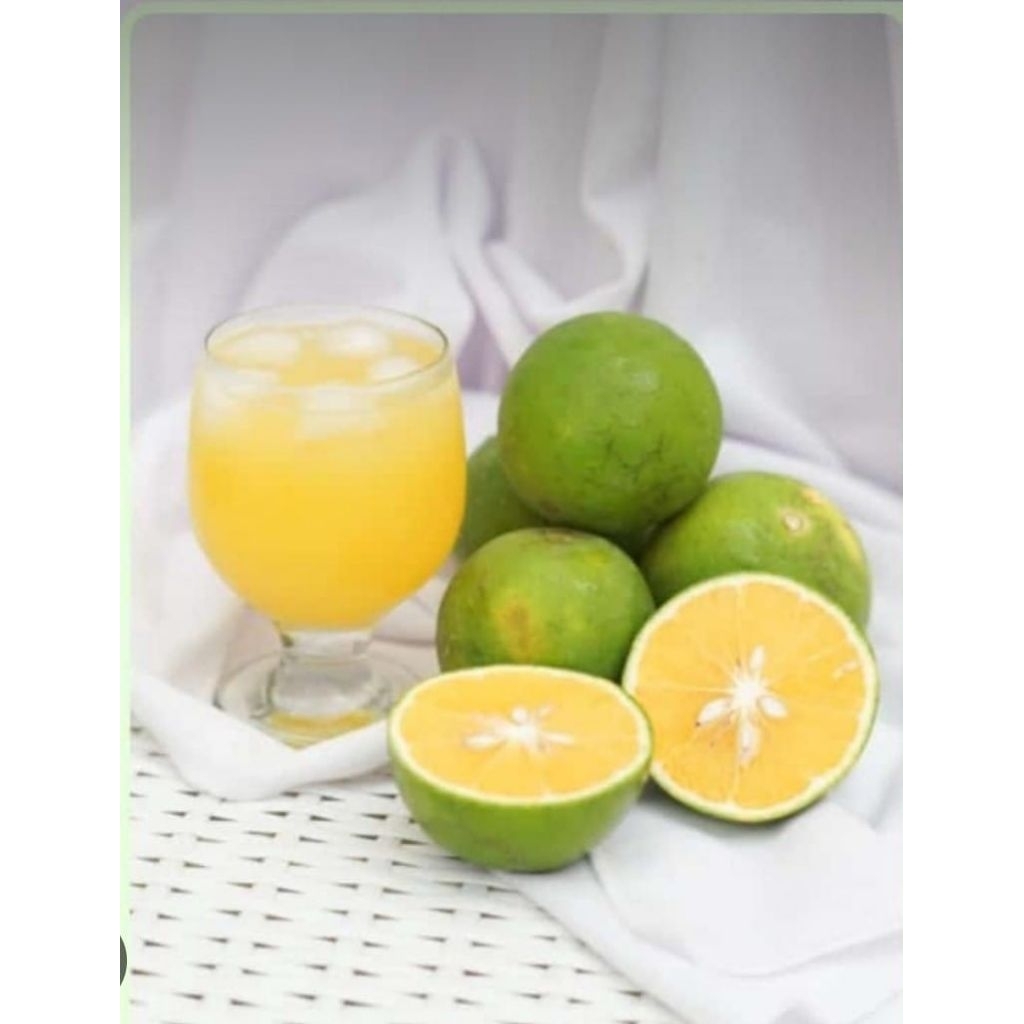 jeruk baby java asli malang
