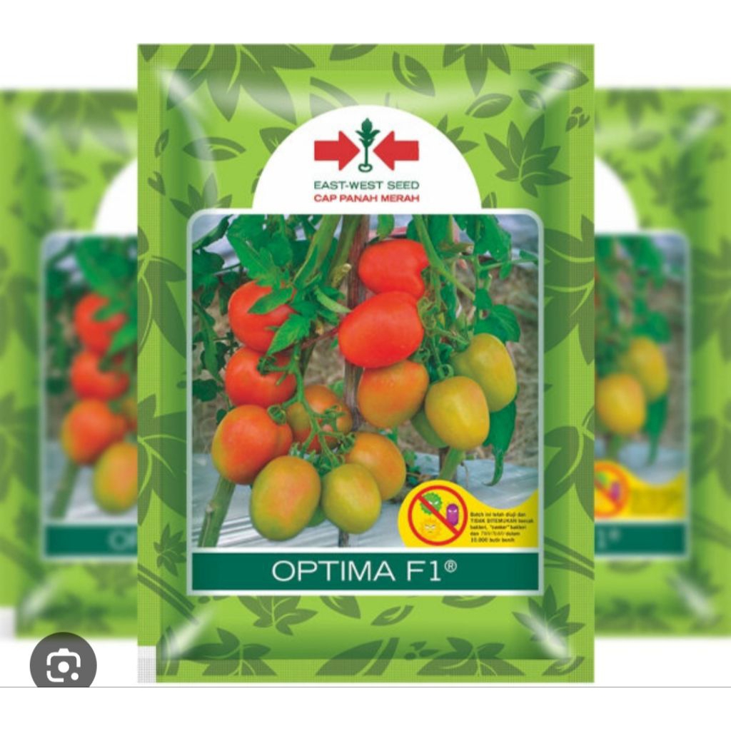 benih tomat OPTIMA F1 5 gram