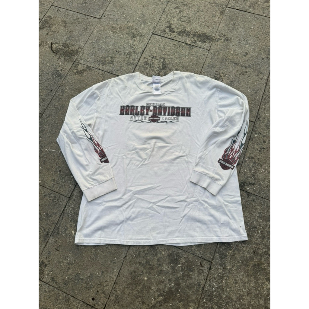 Harley Davidson LS Flame