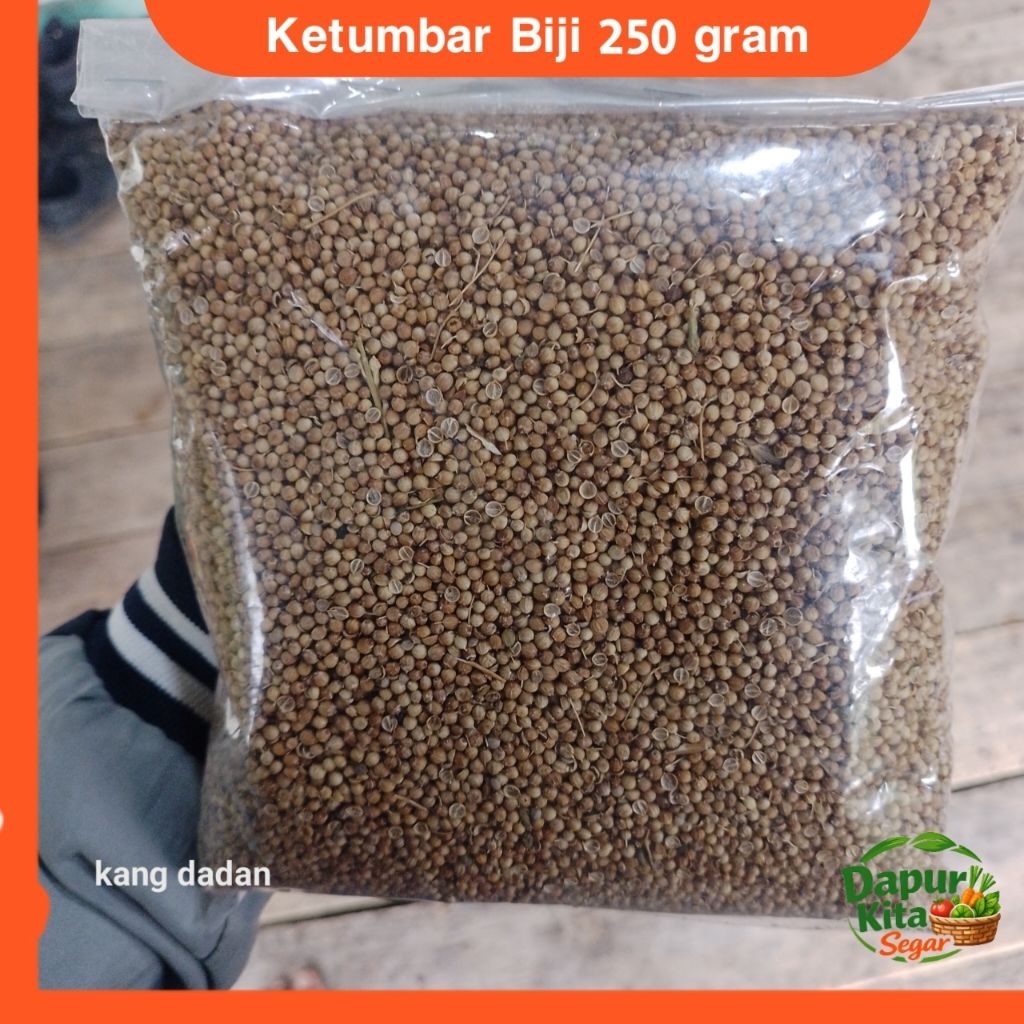 DAPUR KITA SEHAT Ketumbar Bubuk / Utuh 250 gram – Bumbu Dapur Premium Aromatik & Segar