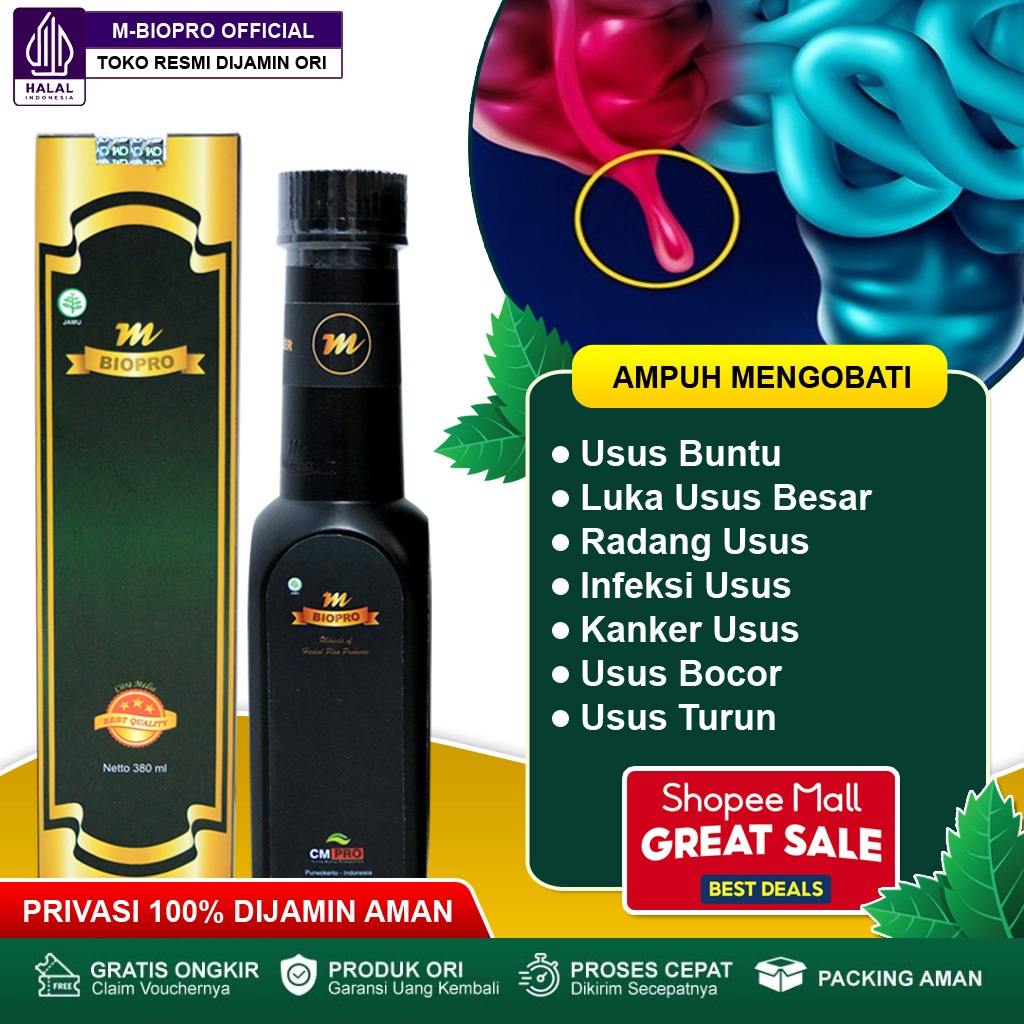 Obat Usus Buntu, Radang Usus, Infeksi Usus, Luka Usus Besar, Kanker Usus, Tumor Usus, Usus Turun, He