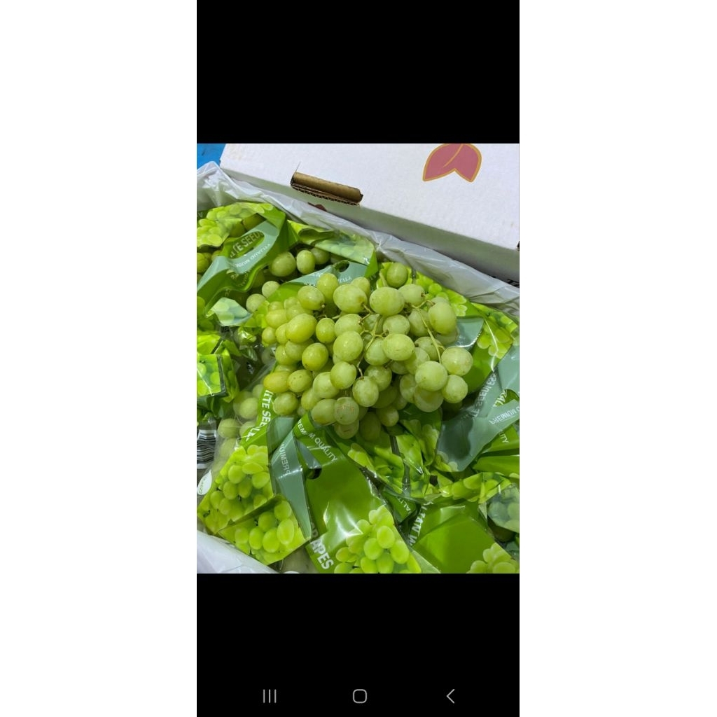 ANGGUR HIJAU. GARING MANIS. ENAK FRESH SEGAR. CRISPY. MURAH, AUTUMN CRISPY