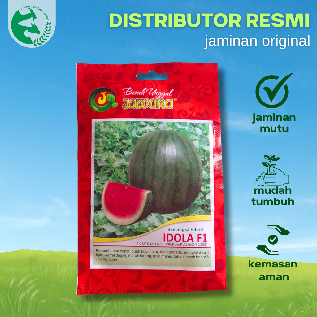 Benih Semangka Merah Hibrida Non Biji IDOLA F1 5 gr Cap Jawara Unggul Tahan pecah Bisa 12 kg