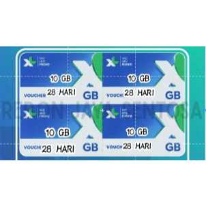 V XL FlexMax 10Gb 28D (NAS 10Gb)