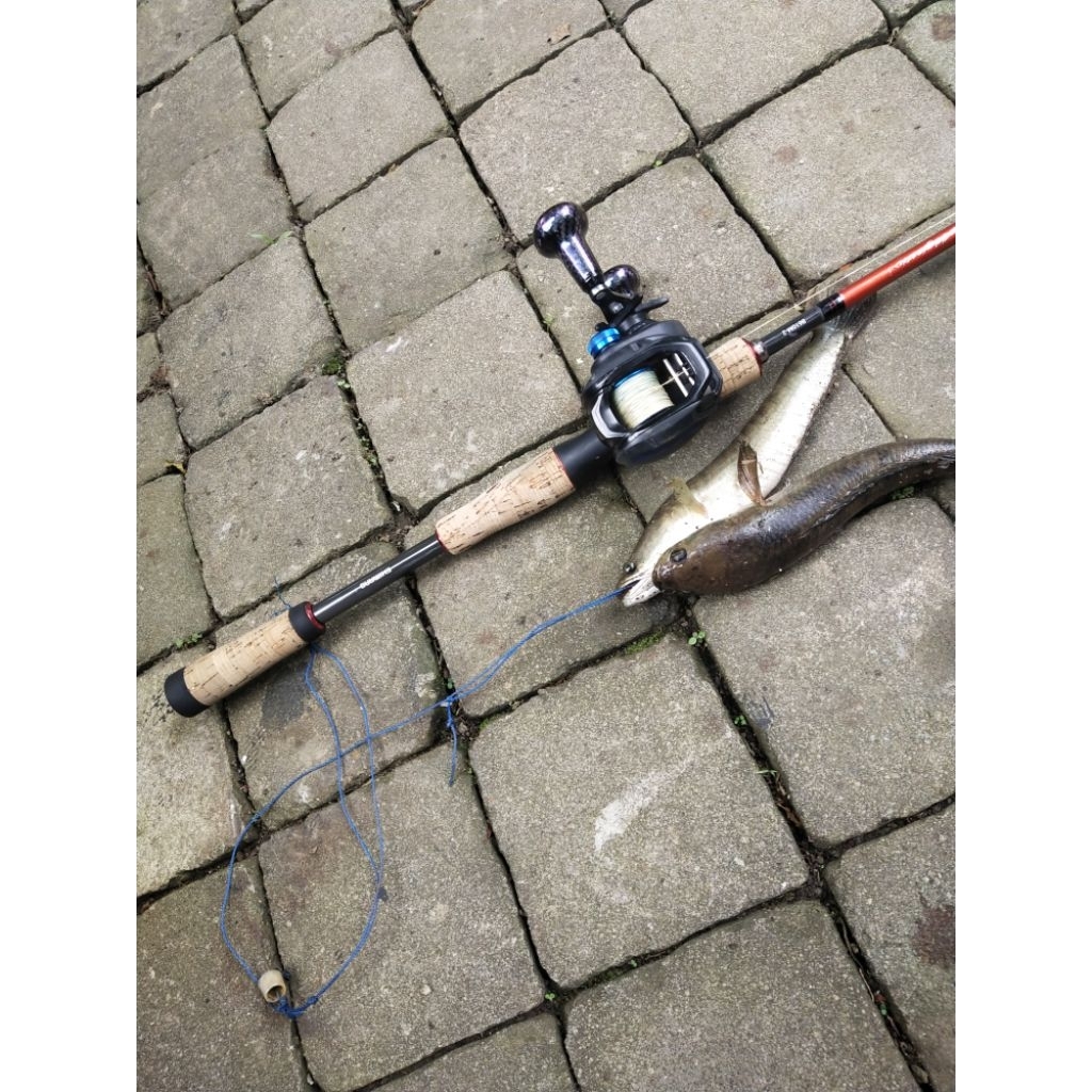 Joran BC Second | Shimano Majestic 8-16 B610M-2