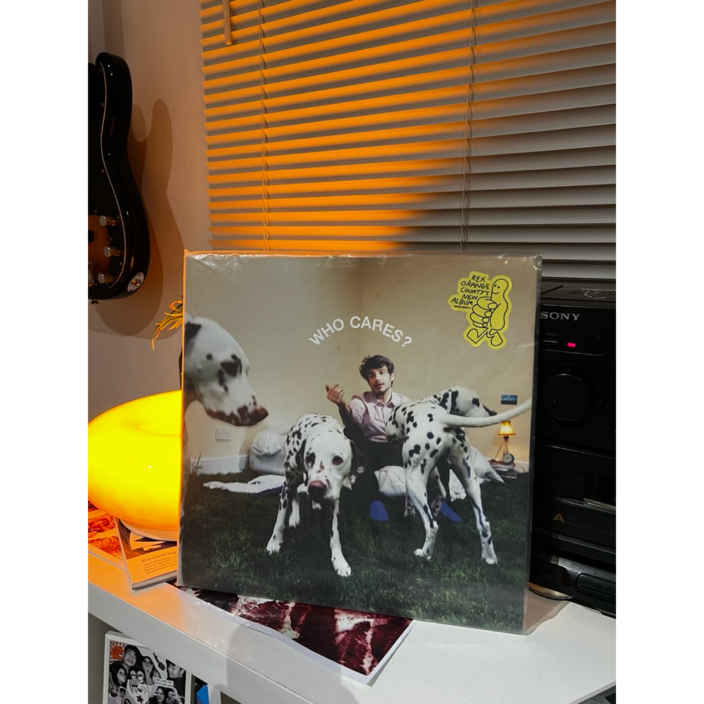 Who Cares? – Rex Orange County Vinyl