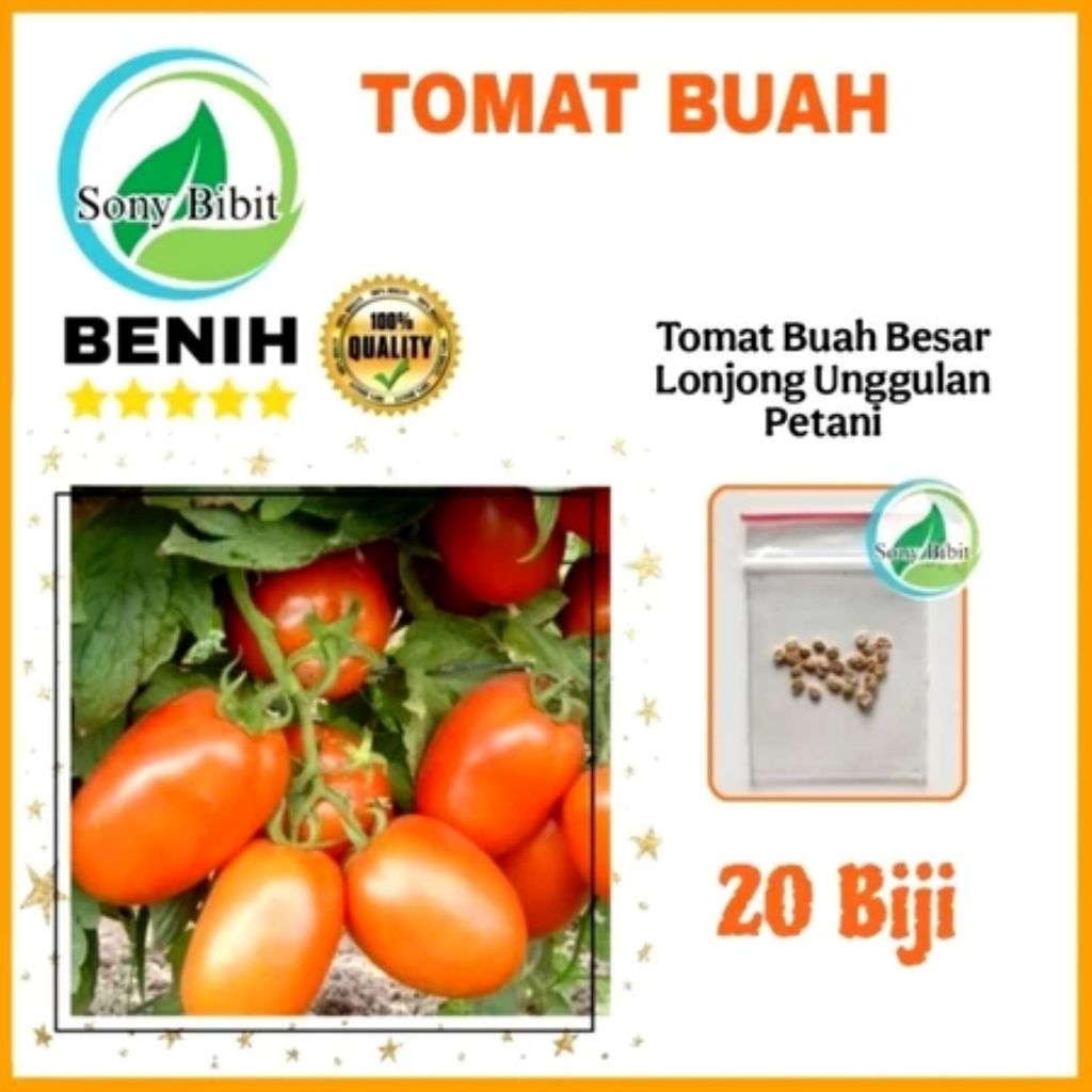 Benih Tomat Buah Besar Lonjong Super 5 biji Benih Ekonomis