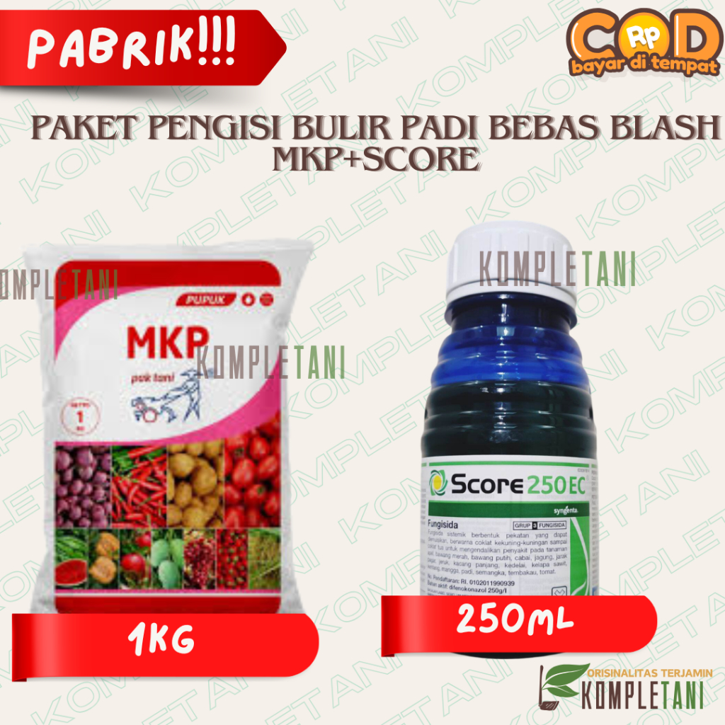Paket Pengisi Bulir Padi dan Obat Blash MKP + Score Nutrisi dan Fungisida Obat Jamur Ampuh Vase Gene