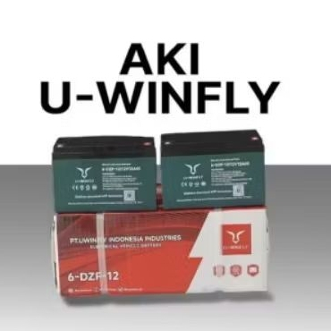 AKI SEPEDA LISTRIK U-WINFLY & GODA 48V/12AH