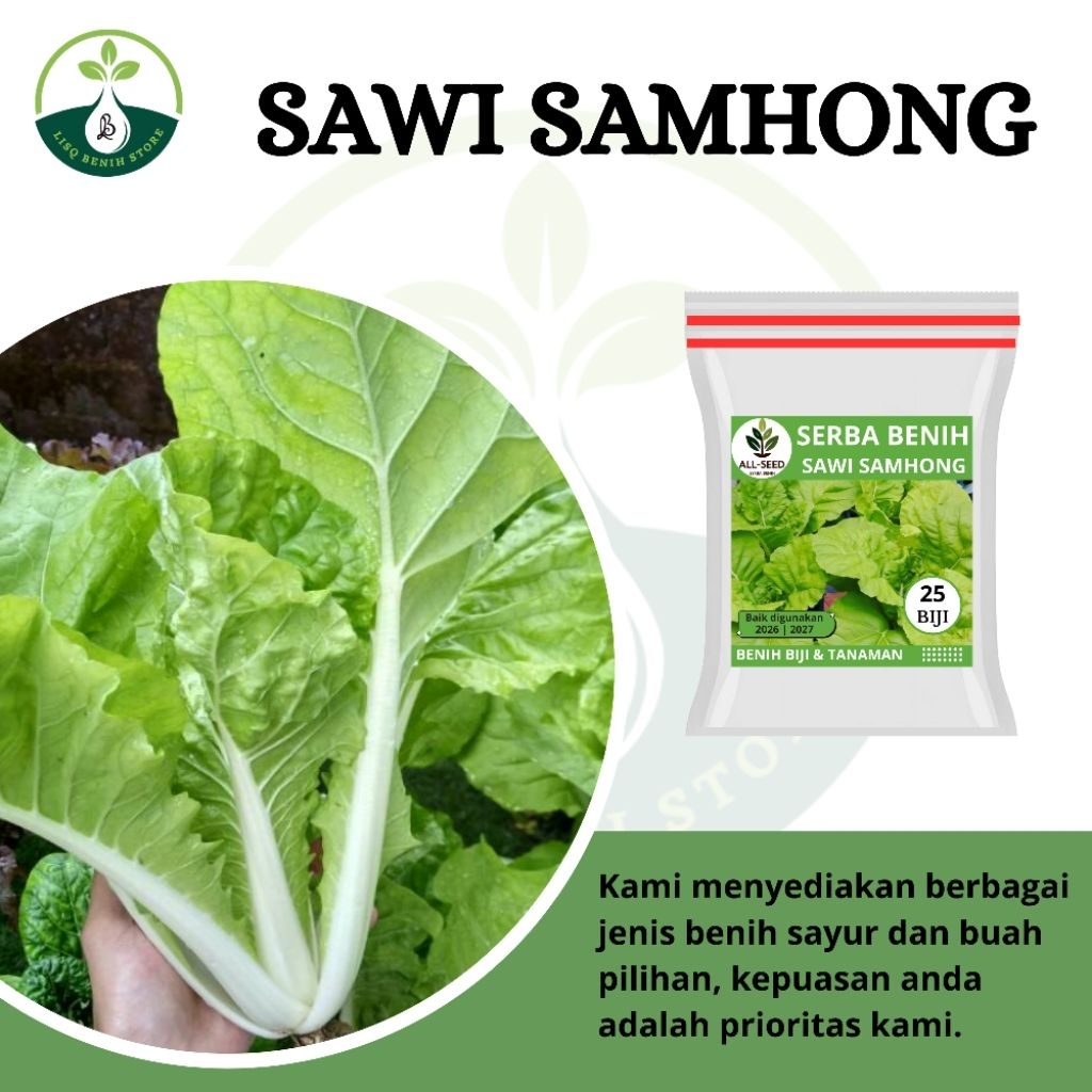{ 25 BIJI } Benih sawi samhong / bibit sawi