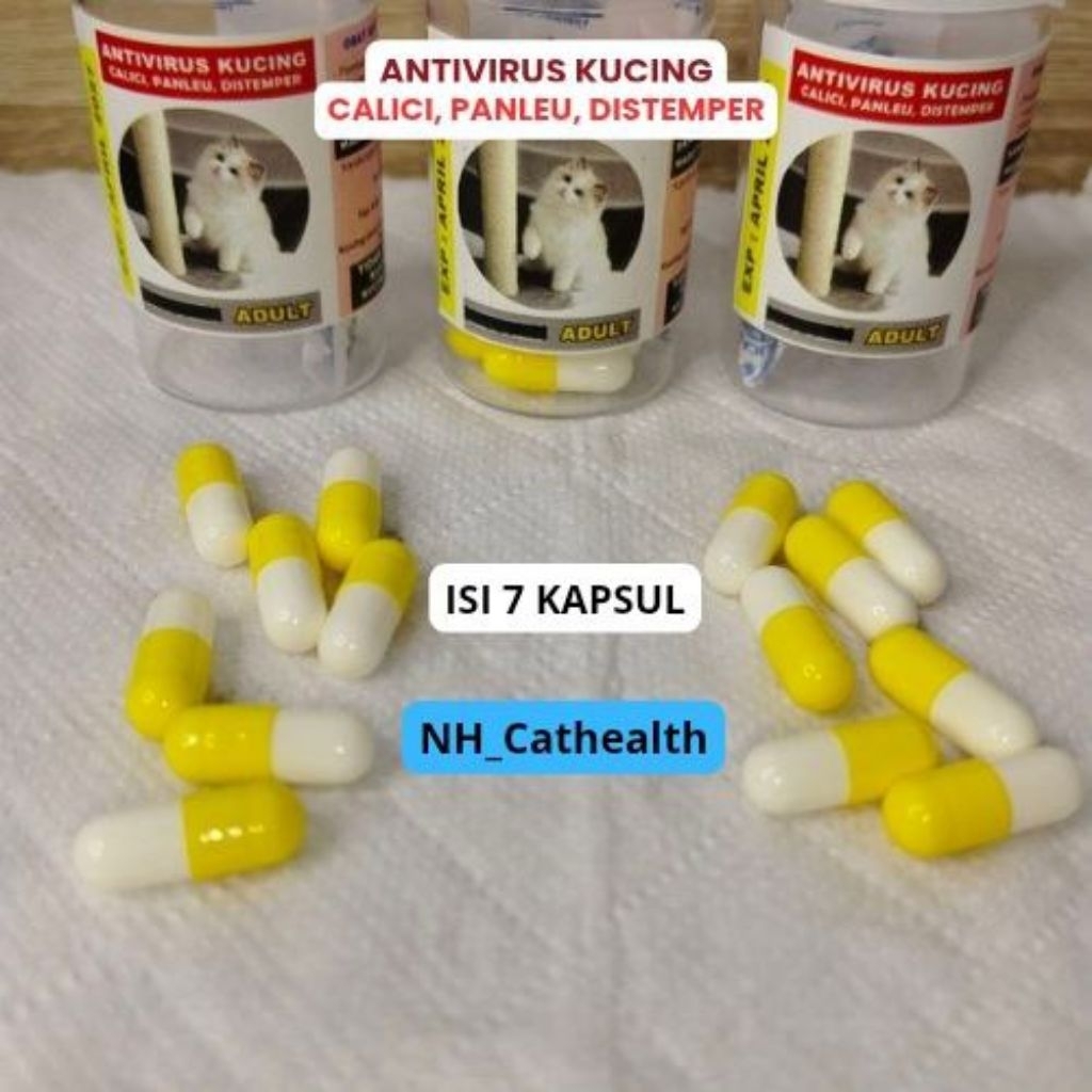KAPSUL AJAIB (VITAMIN CALICI, PANLEU & FIP)