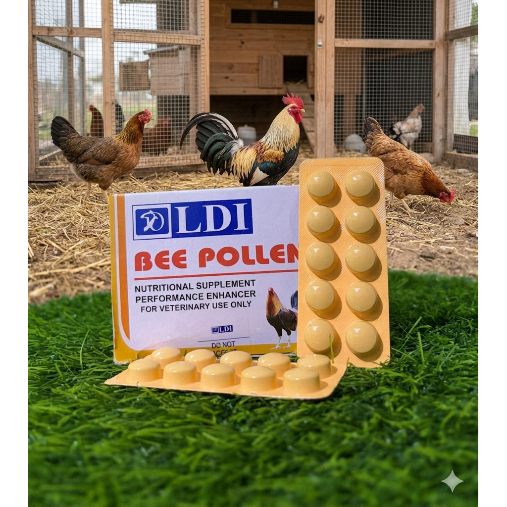 Bee pollen LDI vit ayam