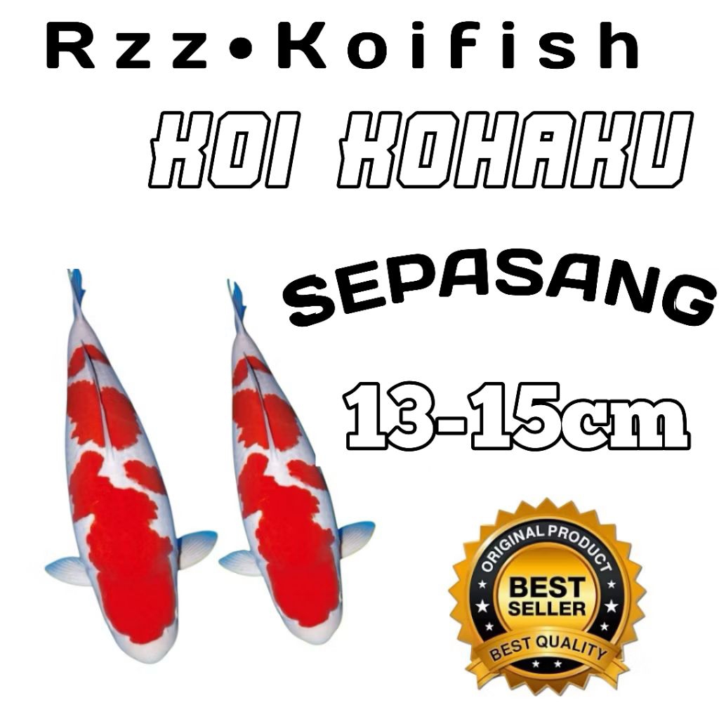 isi 2 koi Blitar kohaku berkualitas grade A