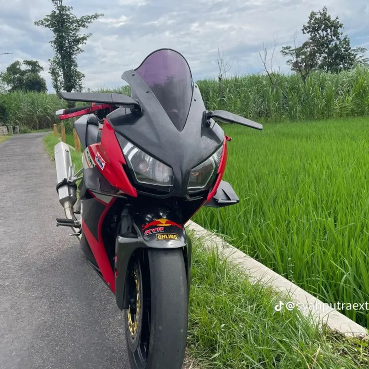 WINGSIDE/WINGLET CBR K45A LOKAL MODEL BMW1000