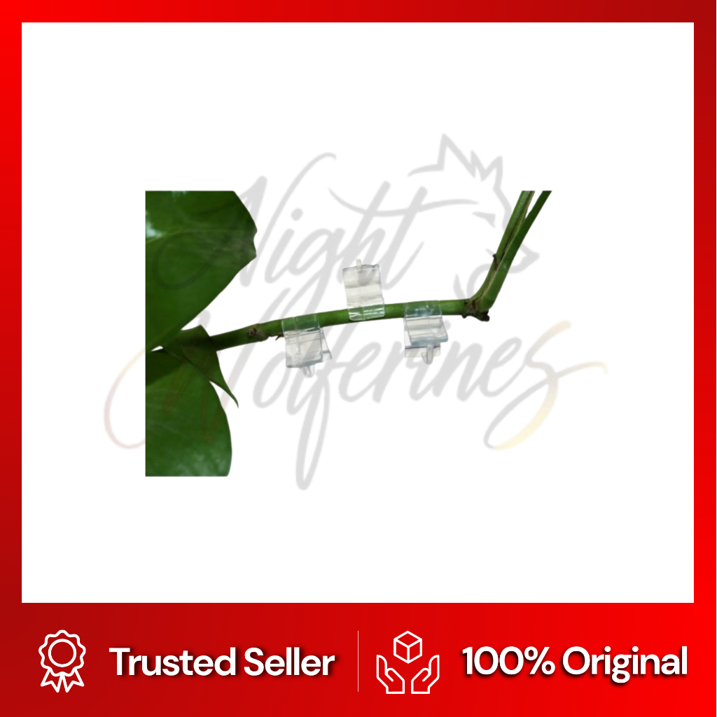 Grafting Clip / Klip Okulasi / Sambung Pucuk / Penjepit Okulasi