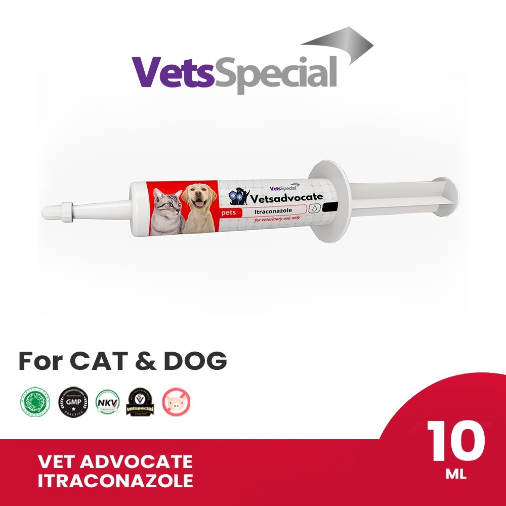 Obat Jamur Kucing & Anjing - VET ADVOCATE - ITRACONAZOLE Untuk Mengatasi Jamur Kulit Hewan