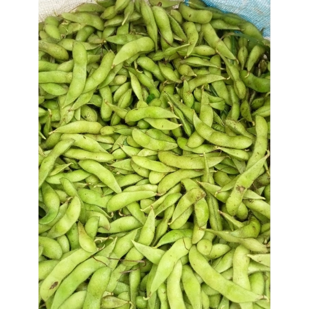 EDAMAME 1KG PREMIUM
