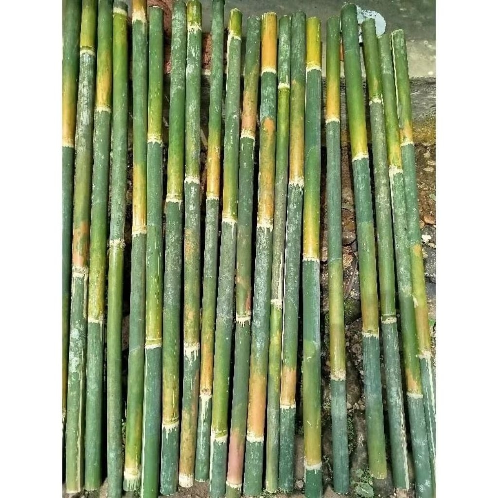 Tiang Bambu Serbaguna Panjang 2 Meter
