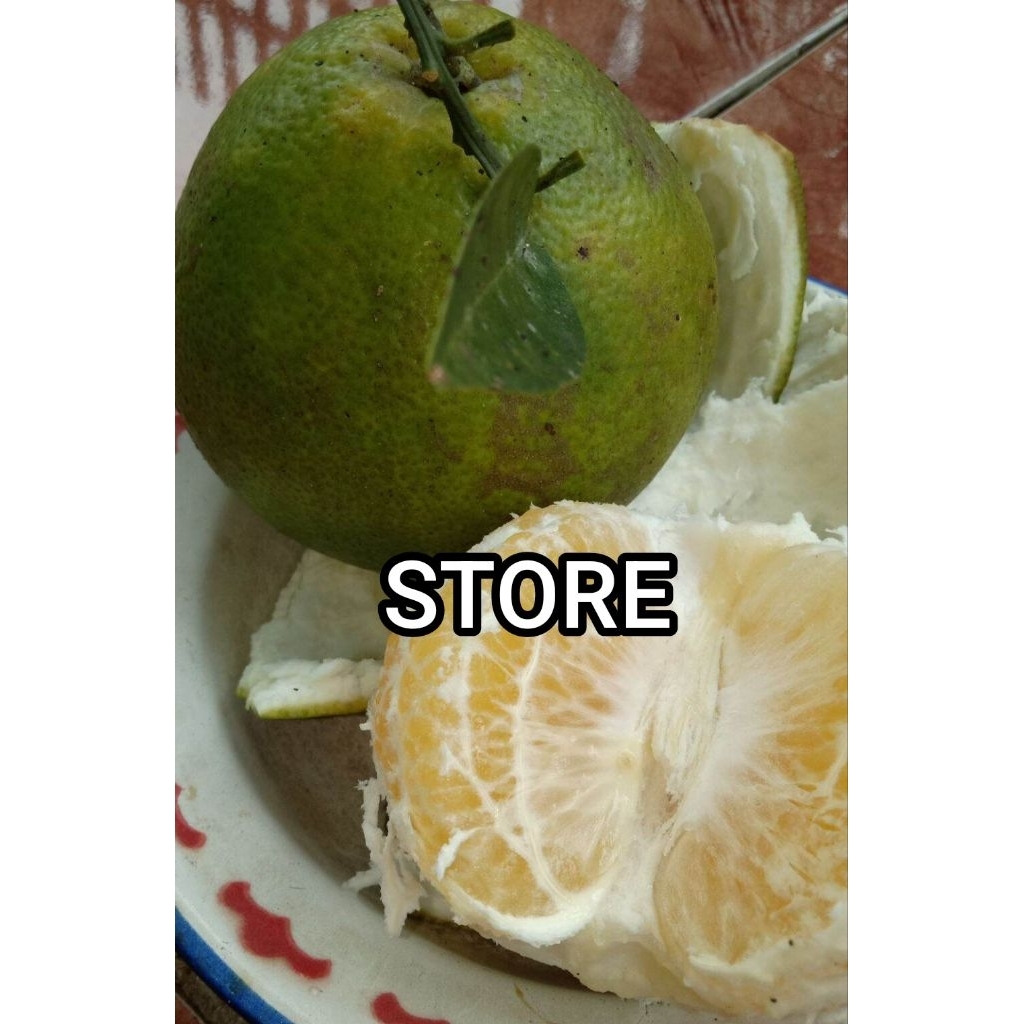 Buah jeruk bali mini segar 500 gram