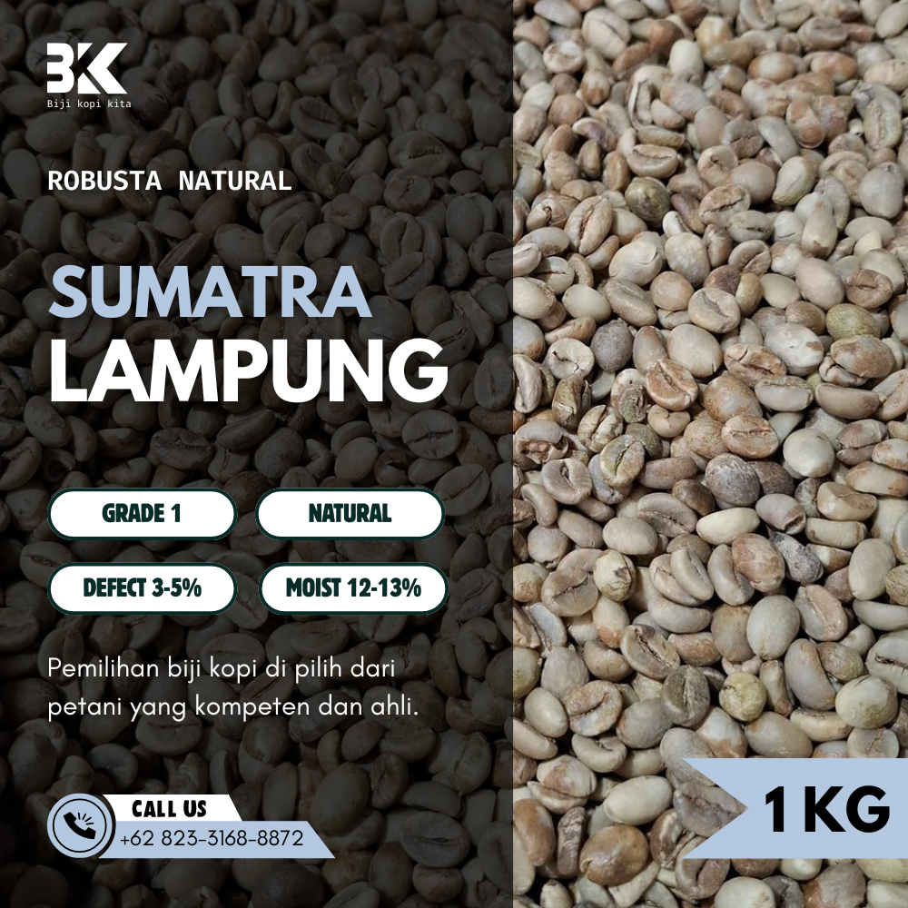 Robusta Grade 1  Lampung Green Beans | Biji Kopi Mentah