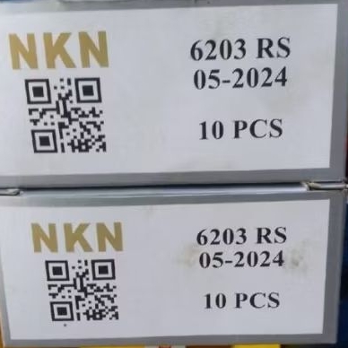 Lahar 6203 RS NKN/laher nkn/bearing nkn