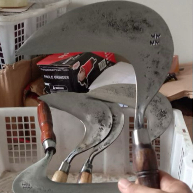 Arit rumput asli garut/ cikajangan/gagang sonokeling super