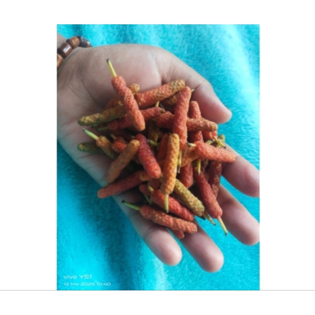 100 g CABE JAWA BASAH, CABE JAMU