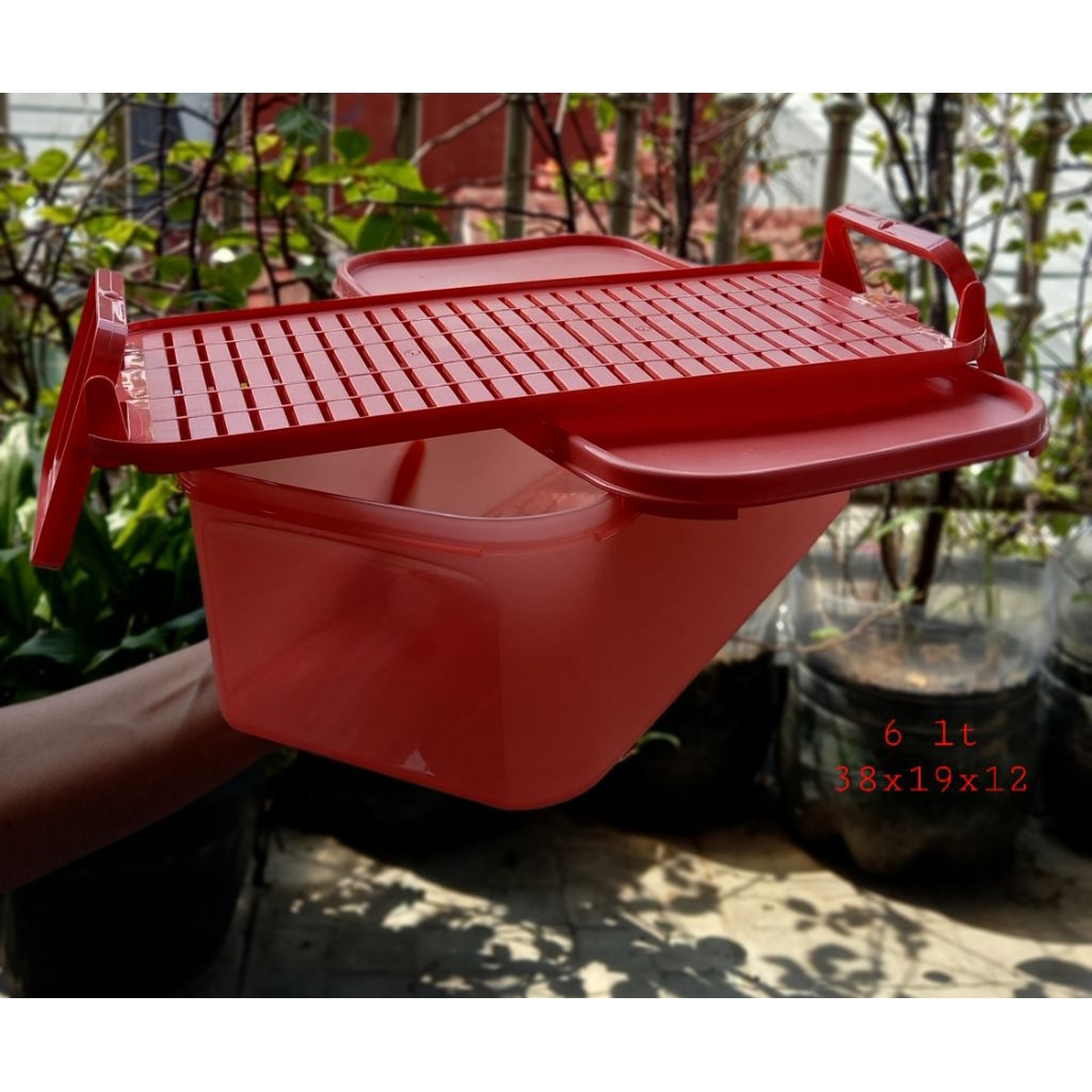 GUAVA CRISPER WADAH PENYIMPAN DENGAN PENIRIS