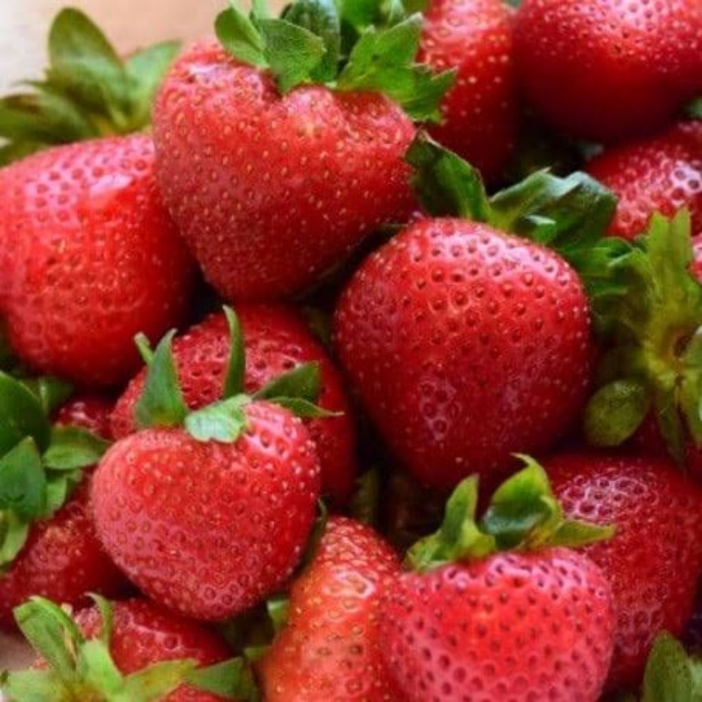 strawberry premium segar dan fresh asli bandung 1kg