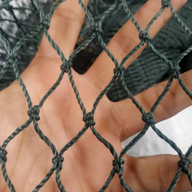 Jaring Pagar Ayam Ukuran 2 x 10 Meter Jaring Bebek Jaring Serbaguna