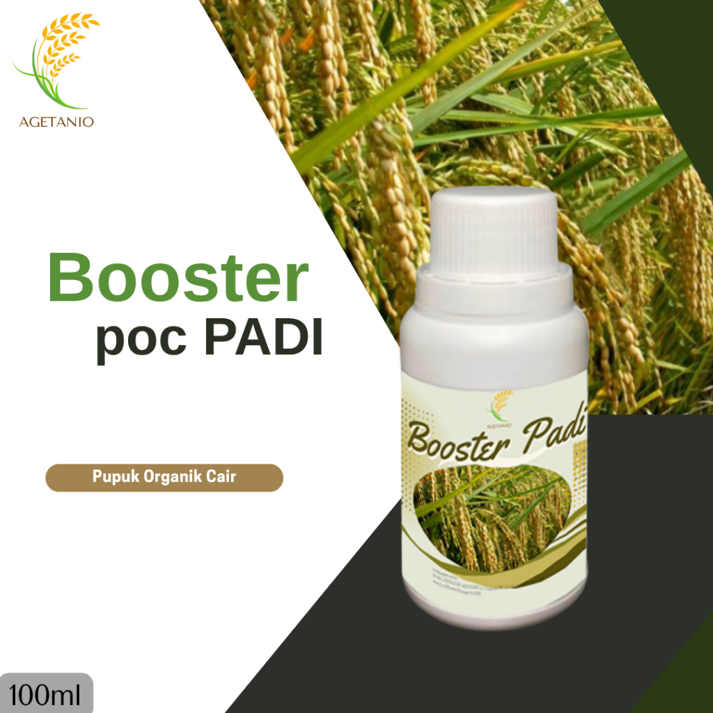 Pupuk Spesial Penyubur Padi Penambah Hasil Padi Booster Daun dan Anakan Mempercepat Berbuah Lebat