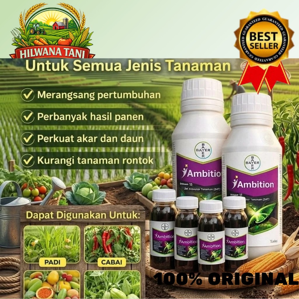 Ambition  Zat Aktivator Tanaman Asam Amino Asam Fulvat dan Unsur Mikro Bayer B7 Amino