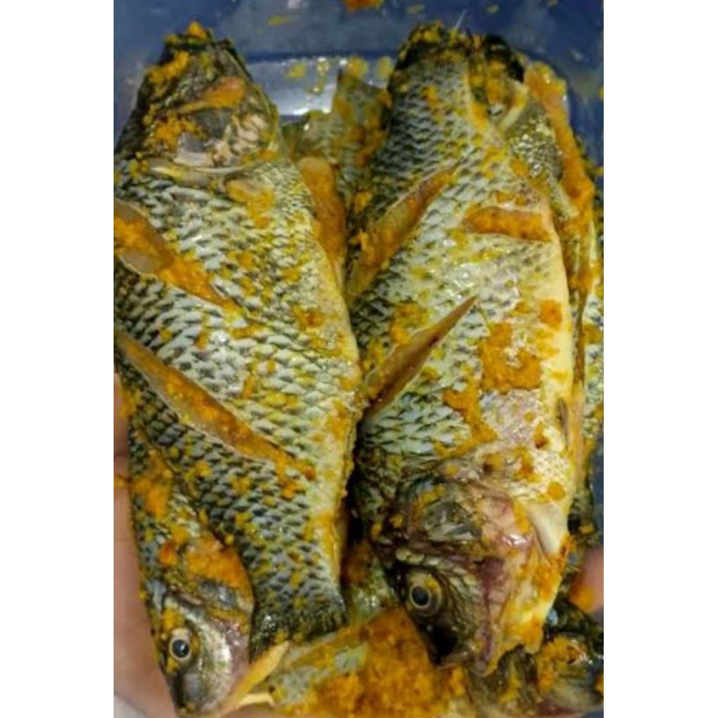Ikan Nila Bumbu Kuning